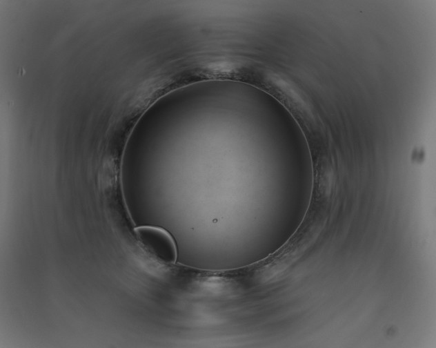 X0000091570467200708201149