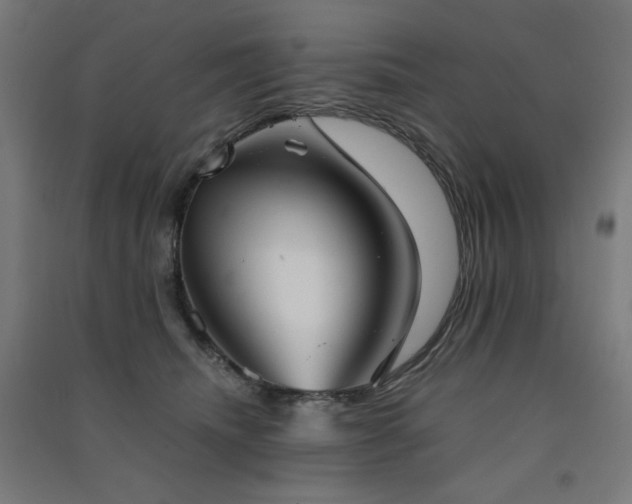 X0000091570468200708201149