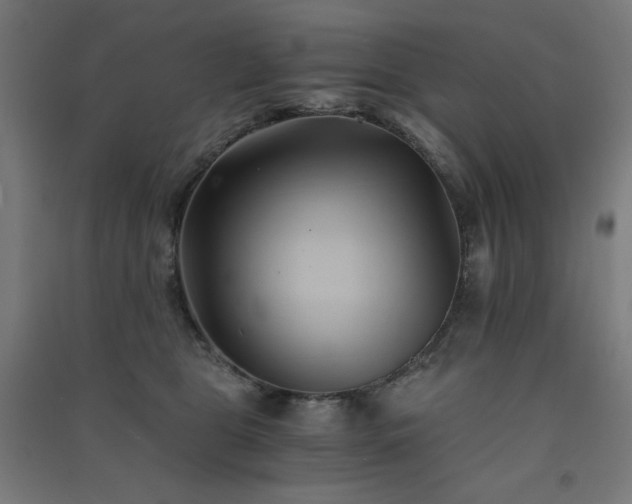 X0000091570469200708201149