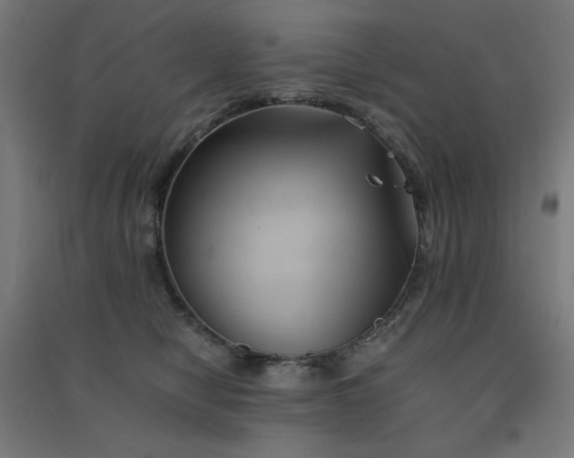 X0000091570470200708201149