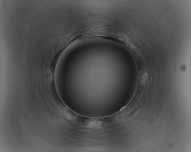X0000091570471200708201149