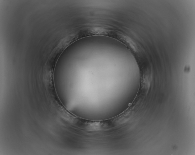 X0000091570473200708201149
