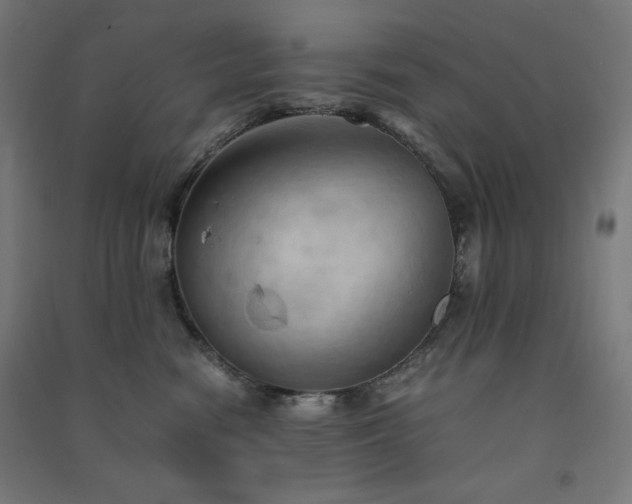 X0000091570474200708201149