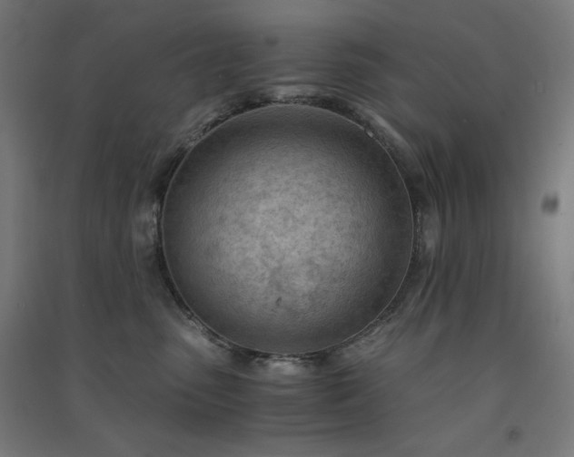 X0000091570475200708201149