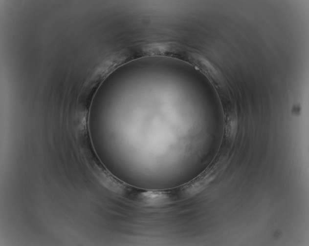 X0000091570477200708201149