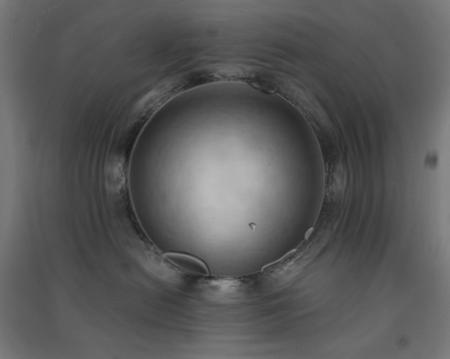 X0000091570478200708201149
