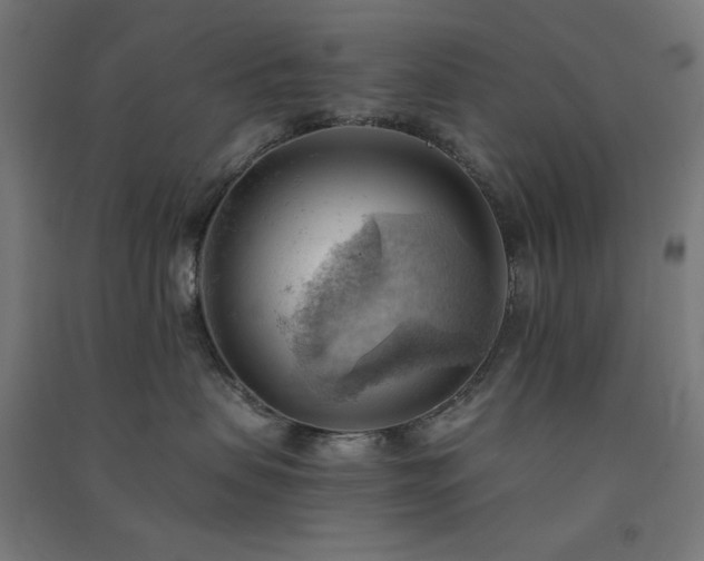X0000091570479200708201149