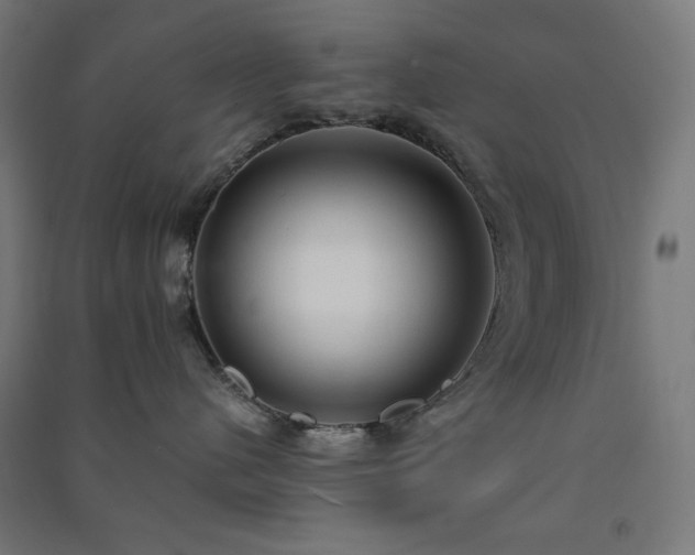 X0000091570480200708201149