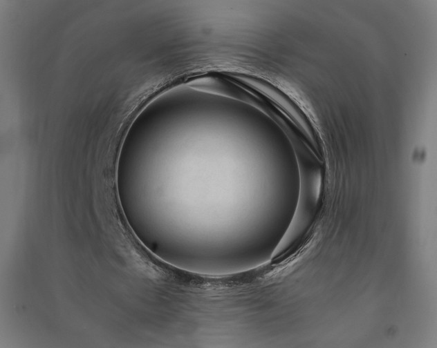 X0000091570481200708201149