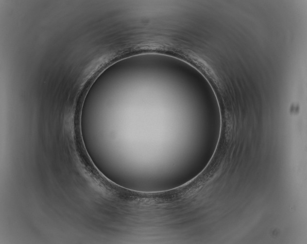 X0000091570482200708201149