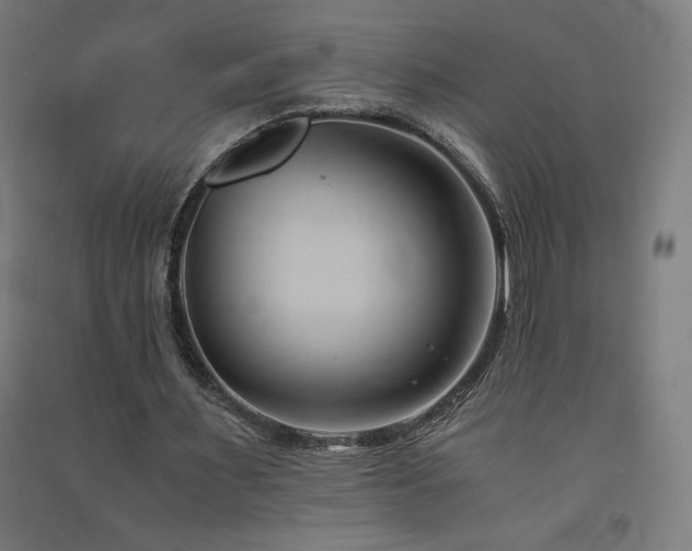 X0000091570483200708201149