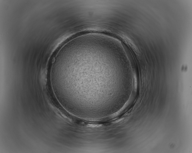 X0000091570484200708201149