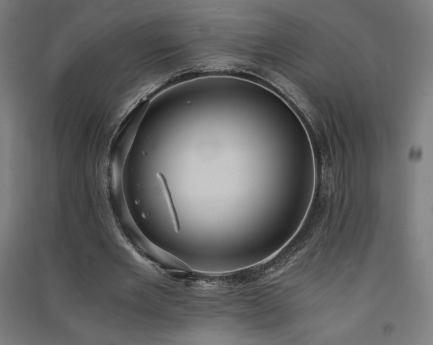 X0000091570485200708201149