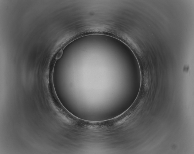 X0000091570486200708201149