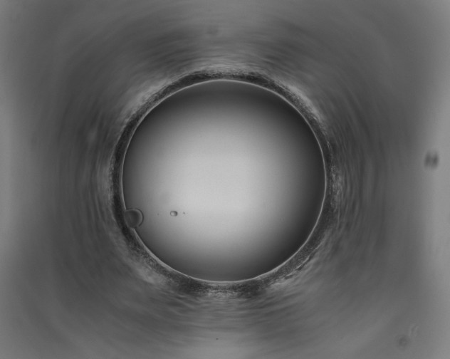 X0000091570487200708201149