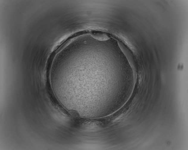 X0000091570488200708201149