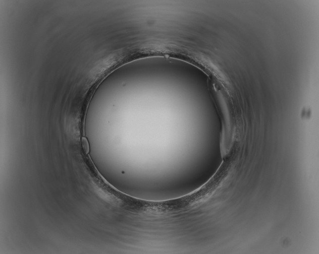 X0000091570489200708201149