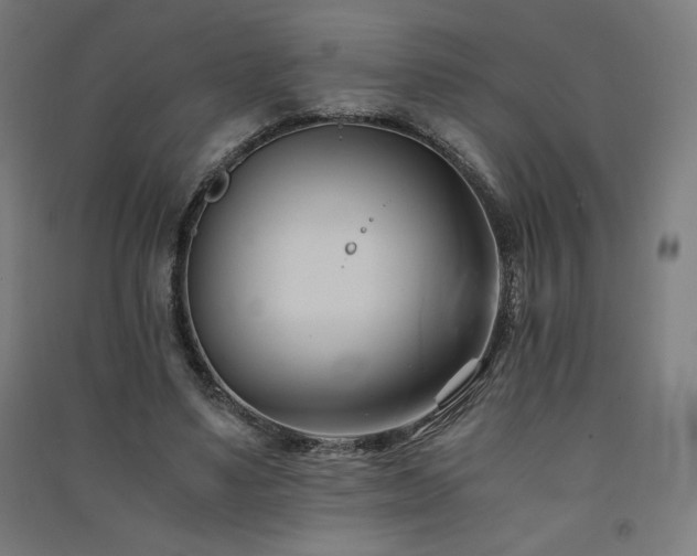 X0000091570491200708201149