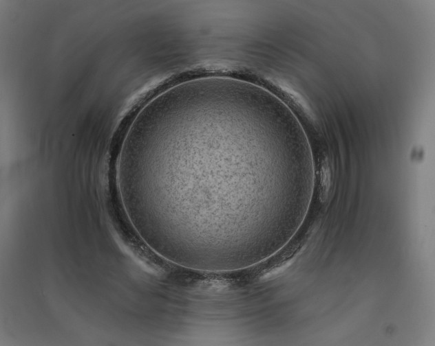 X0000091570492200708201149