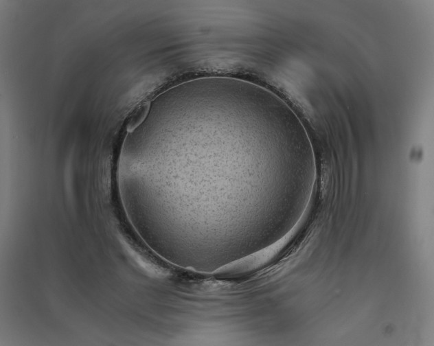 X0000091570493200708201149