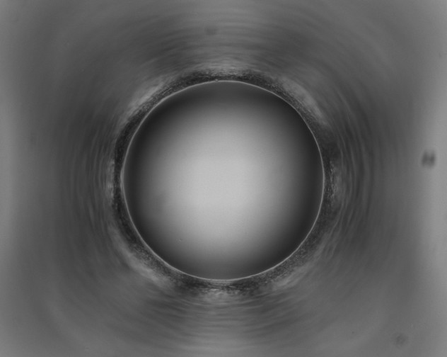 X0000091570494200708201149