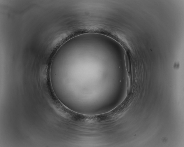 X0000091570495200708201149
