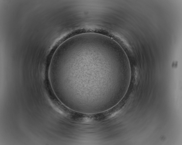 X0000091570496200708201149