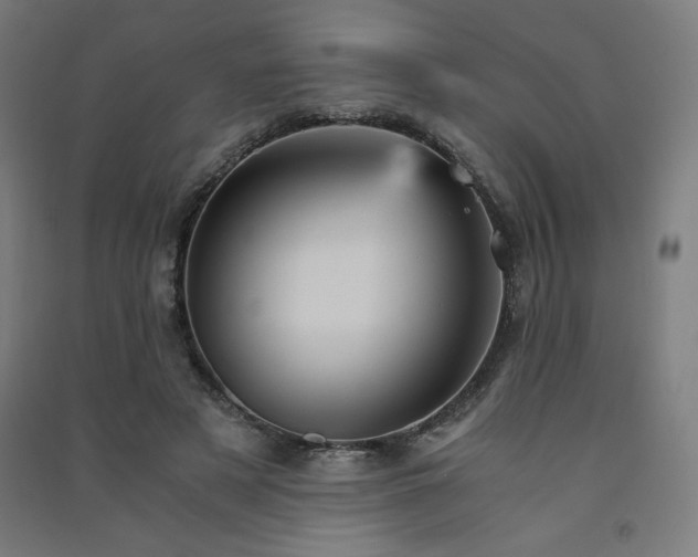 X0000091570497200708201149