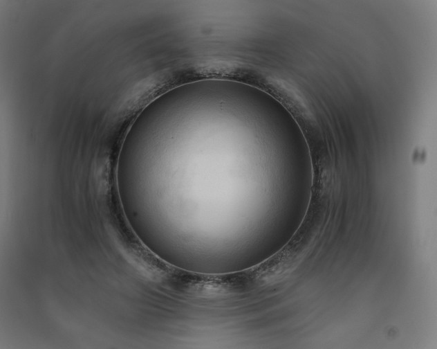 X0000091570498200708201148
