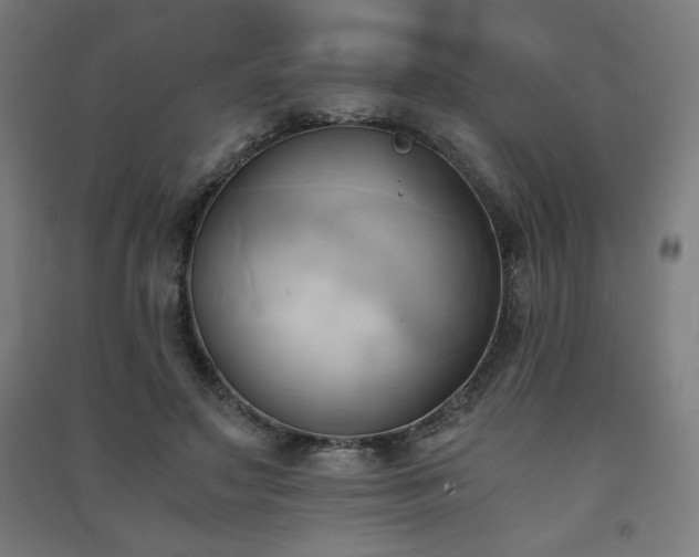 X0000091570499200708201148