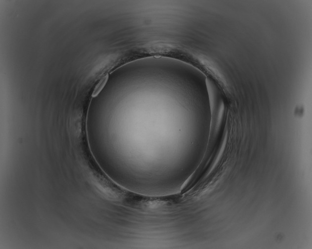 X0000091570501200708201148