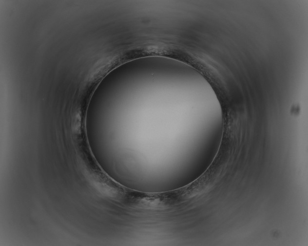 X0000091570502200708201148
