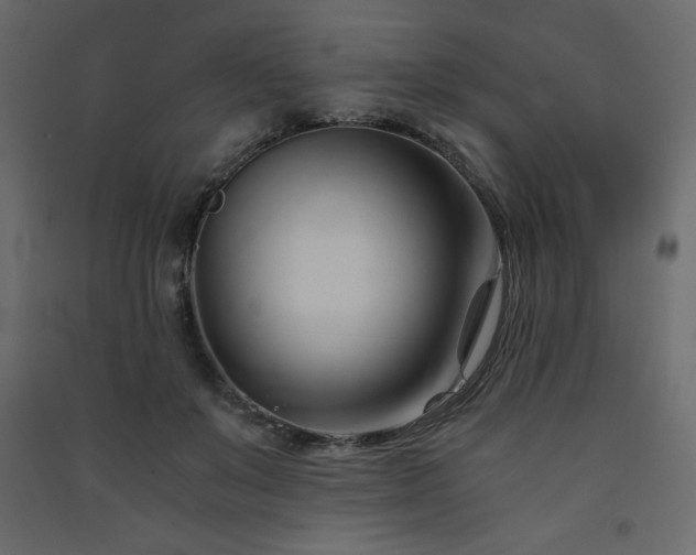 X0000091570503200708201148