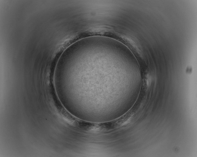 X0000091570504200708201148