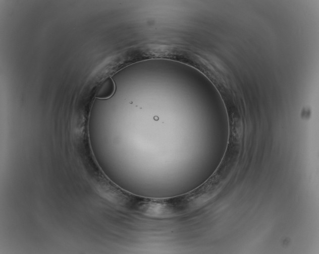 X0000091570507200708201148