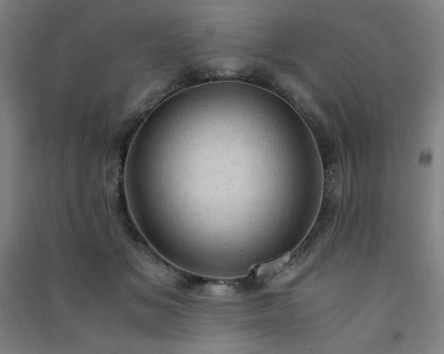 X0000091570509200708201148