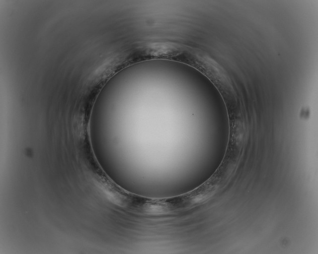 X0000091570510200708201148