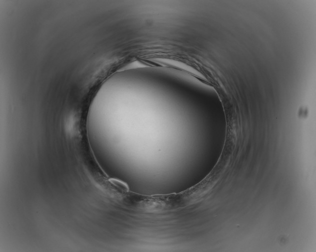 X0000091570512200708201148