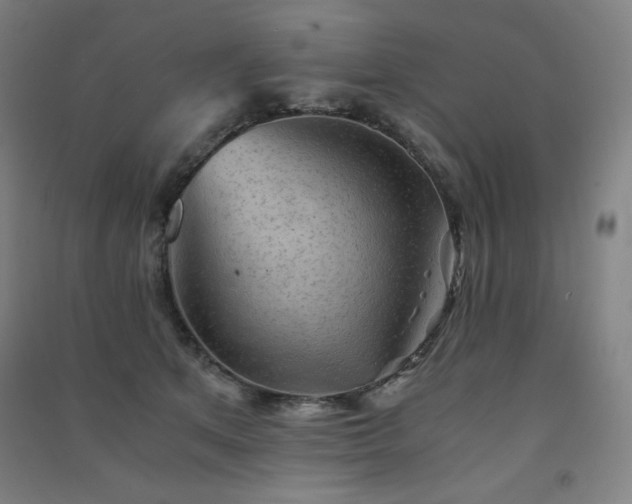 X0000091570513200708201148