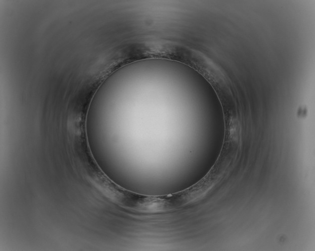 X0000091570514200708201148