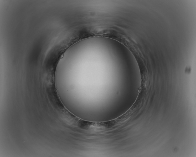 X0000091570515200708201148
