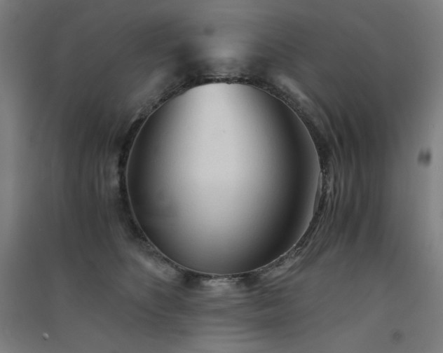 X0000091570516200708201148