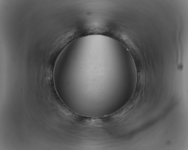 X0000091570517200708201148