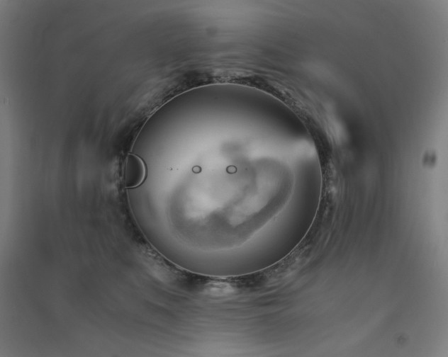 X0000091570519200708201148