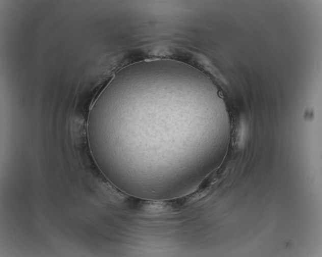 X0000091570521200708201148