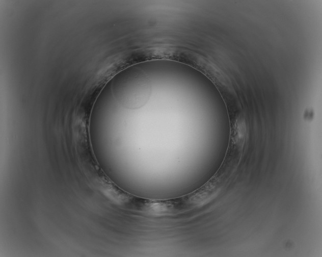 X0000091570522200708201148