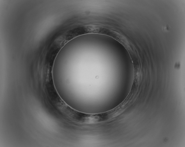 X0000091570525200708201148