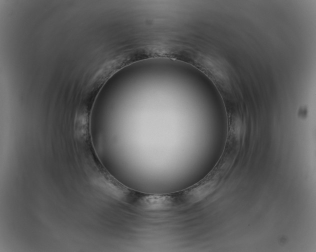 X0000091570526200708201148