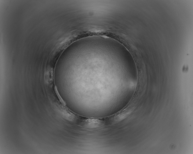 X0000091570528200708201148