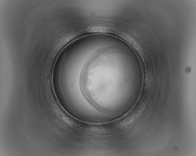 X0000091570529200708201147